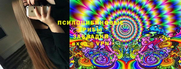 ГАЛЛЮЦИНОГЕННЫЕ ГРИБЫ Абаза