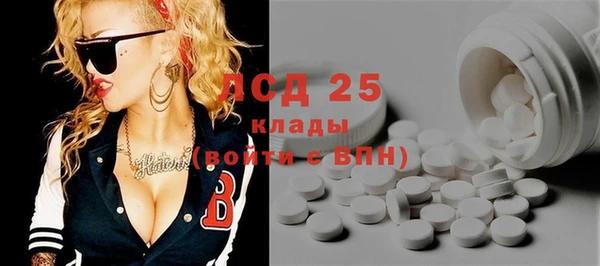 круглые Осинники