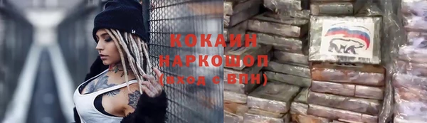 стафф Алзамай