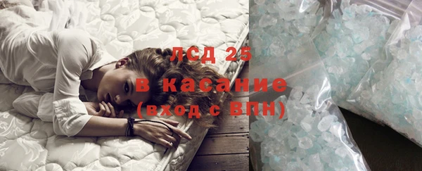 ГАЛЛЮЦИНОГЕННЫЕ ГРИБЫ Абаза