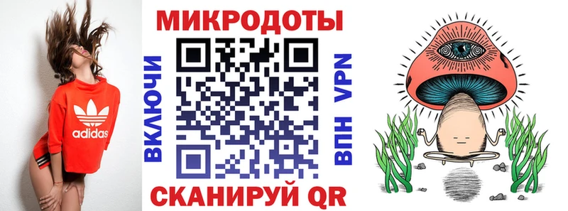 Галлюциногенные грибы Psilocybe  Лысково 